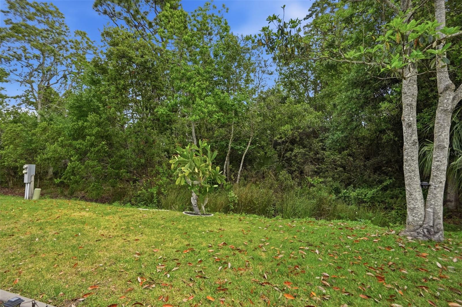 5161 Forest Glenn Dr Property Photo 39