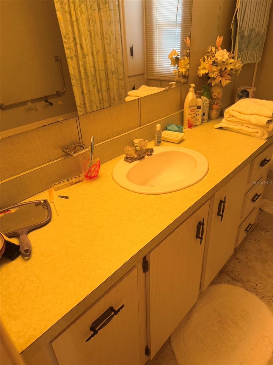 3301 Alt 19 #267 Property Photo 8