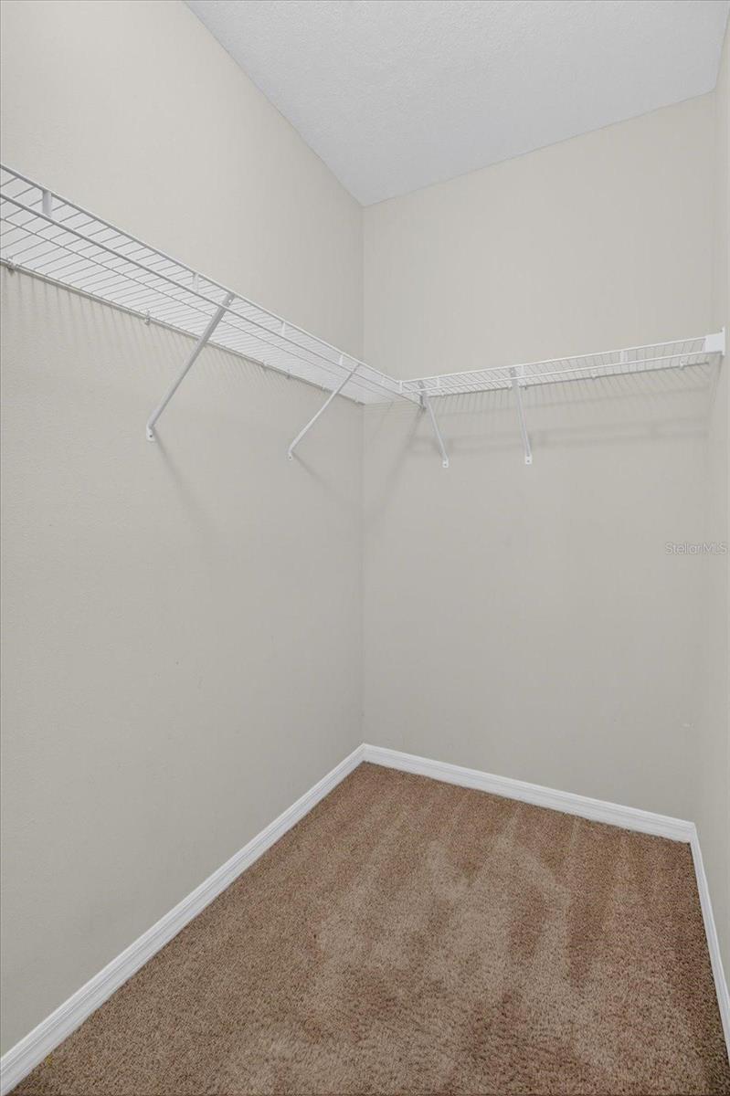 10206 Golden Light Ct Property Photo 49