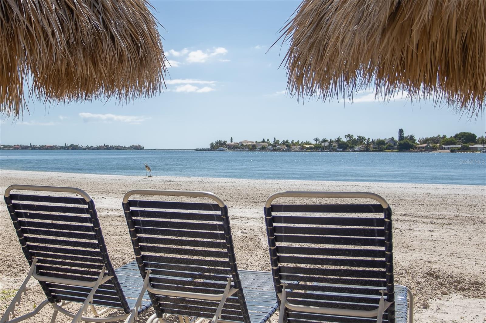 5701 Bahia Del Mar Cir #408 Property Photo 42