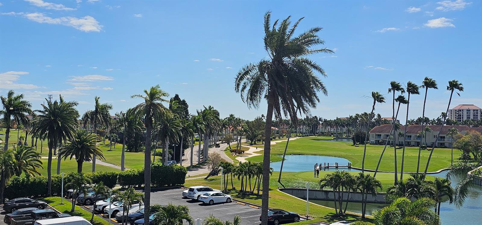5701 Bahia Del Mar Cir #408 Property Photo 43