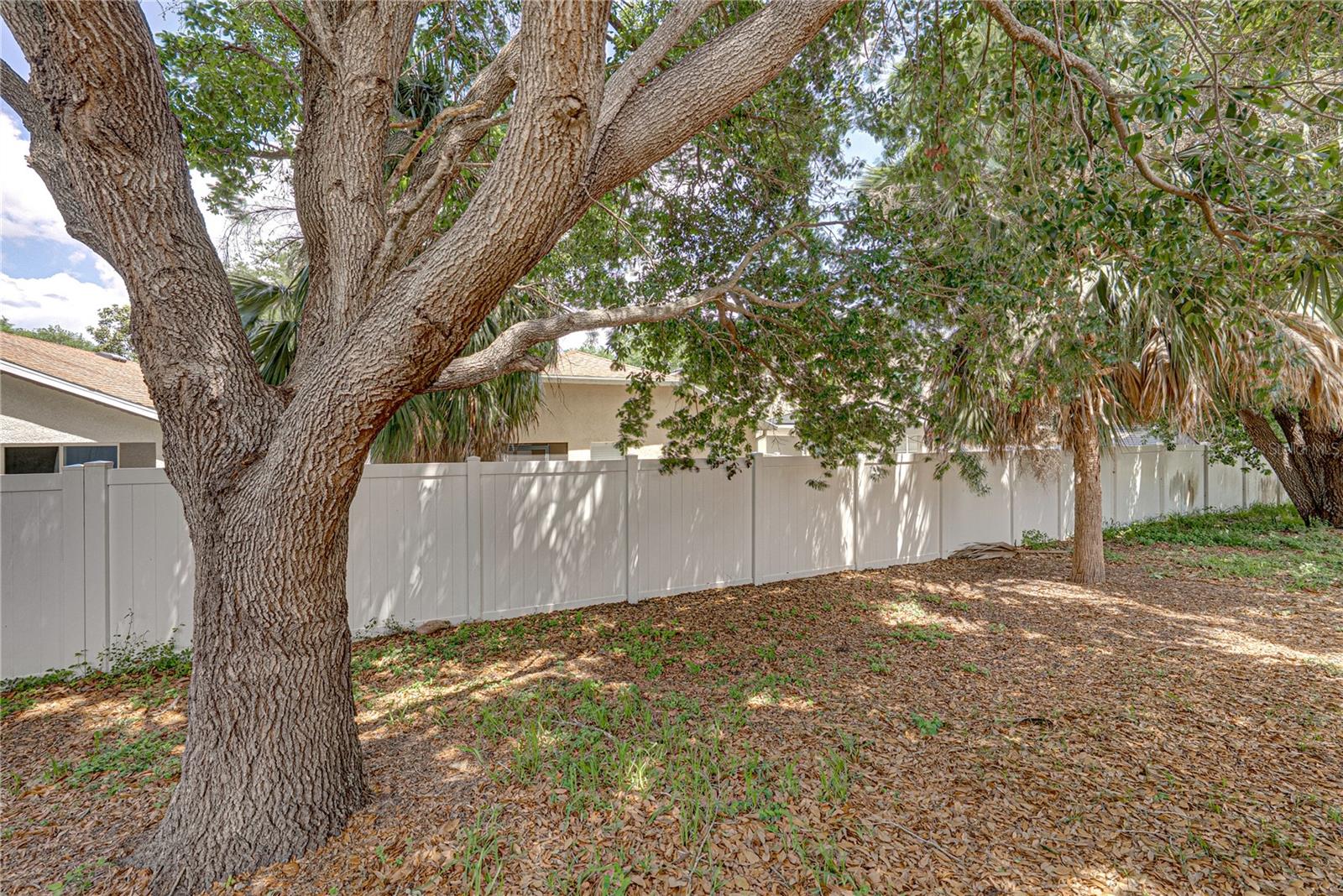 11578 Hammocks Glade Dr Property Photo 30