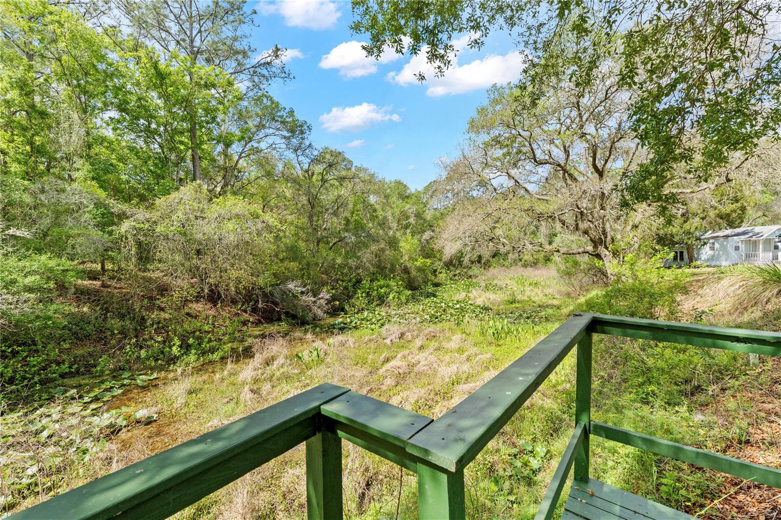 7347 Packingham Dr Property Photo 62