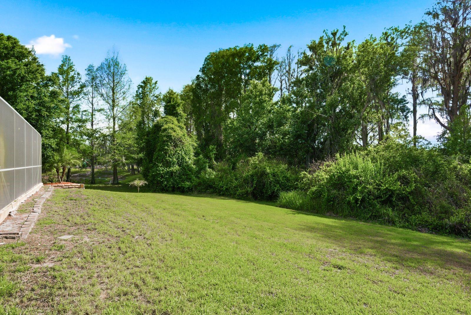 9103 Creedmoor Ln Property Photo 65