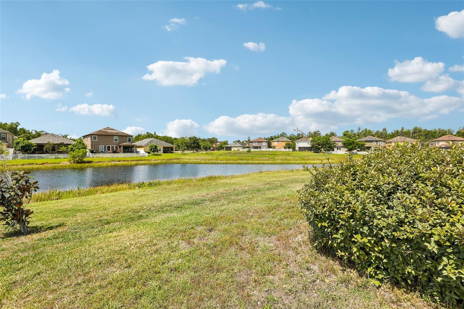 19417 Paddock View Dr Property Photo 45