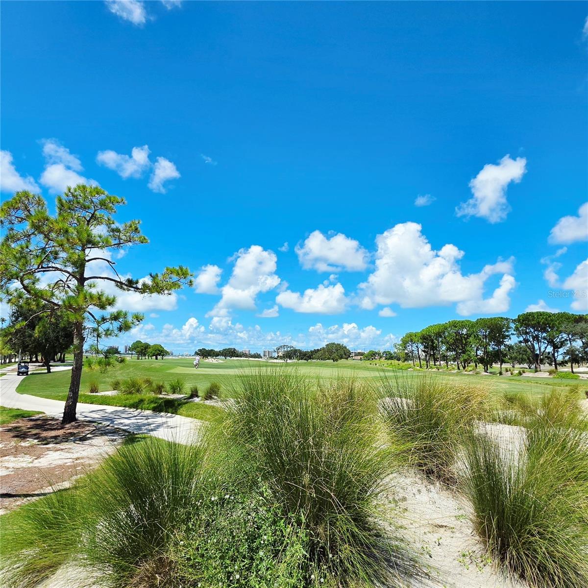1304 Indian Rocks Rd Property Photo 52