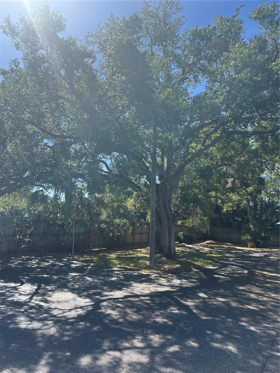 383 S Mcmullen Booth Rd #68 Property Photo 5