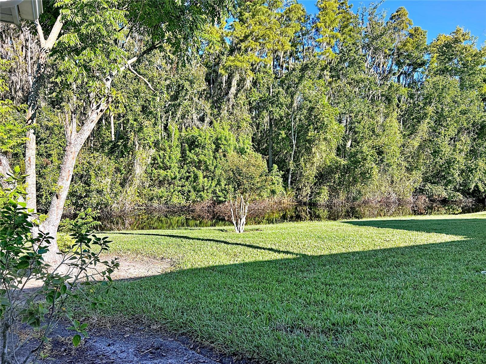 2014 Hampstead Cir Property Photo 23