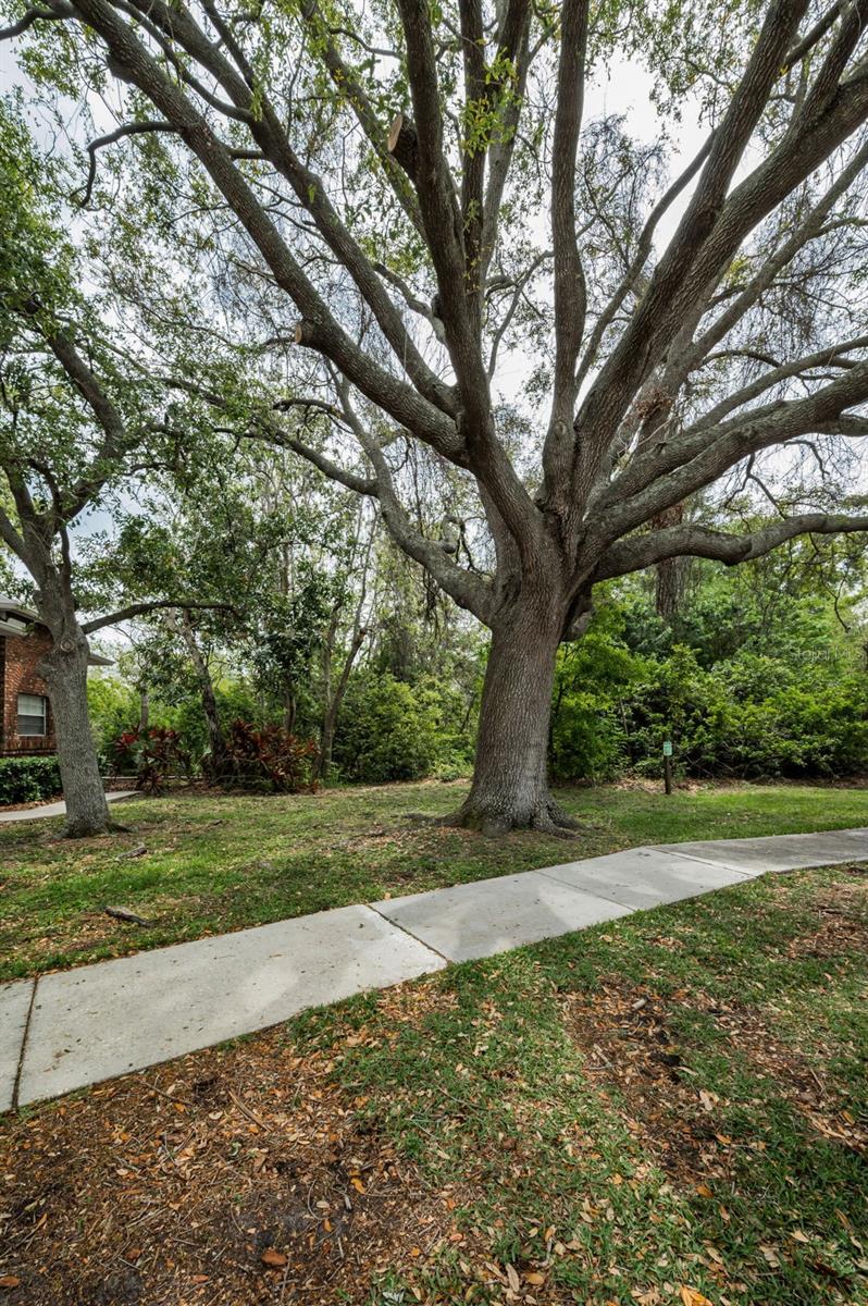 2997 Eagle Estates Cir E Property Photo 66