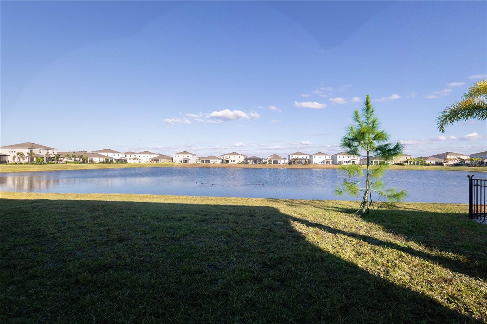 345 Mangrove Manor Dr Property Photo 2