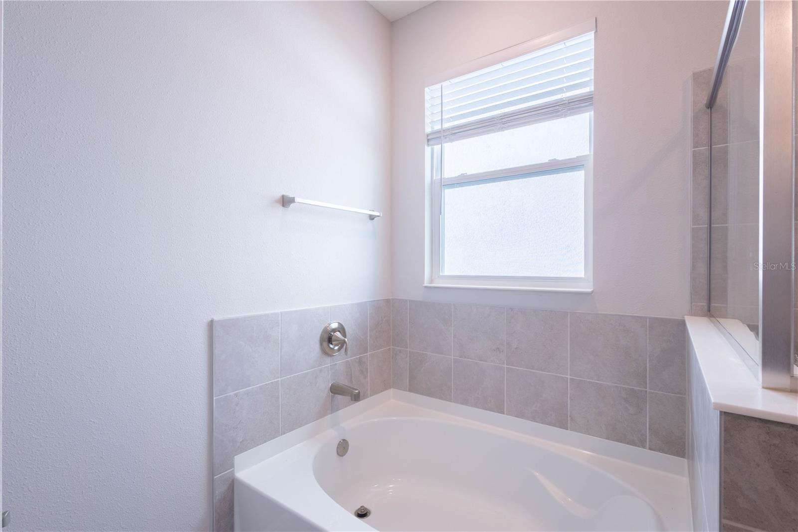 345 Mangrove Manor Dr Property Photo 31
