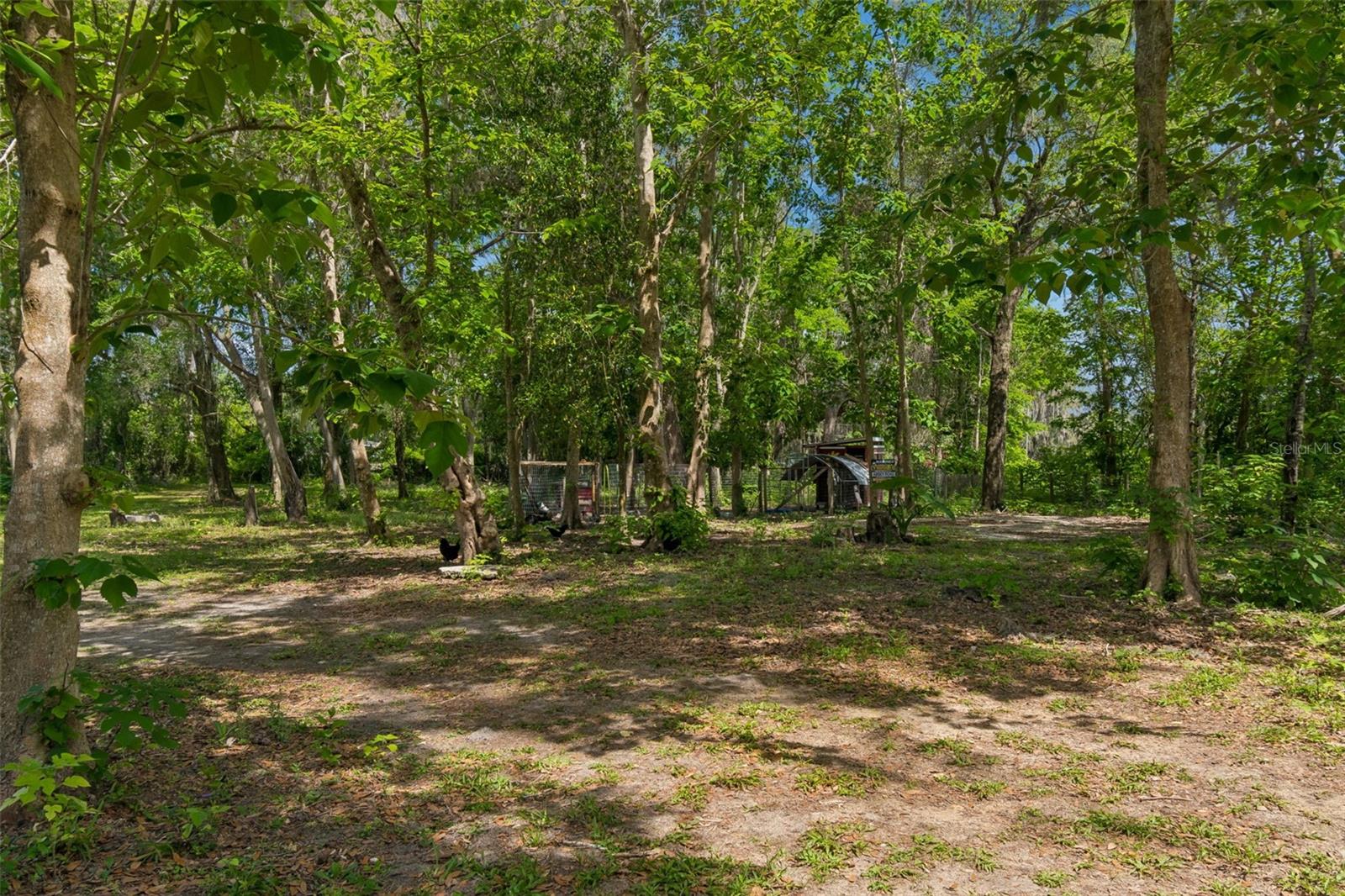 17114 Brittle Rd Property Photo 42