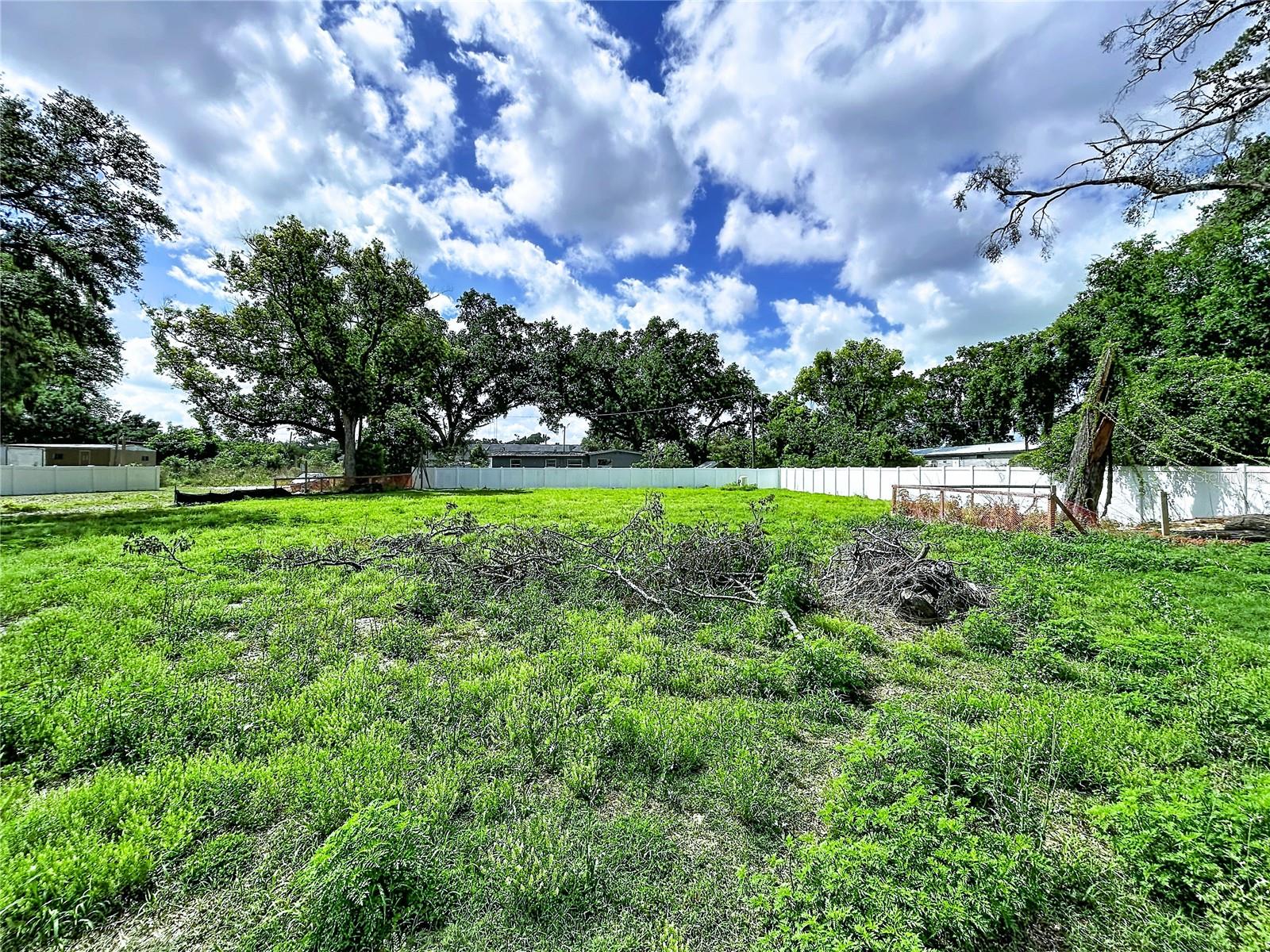 Robson Property Photo 3