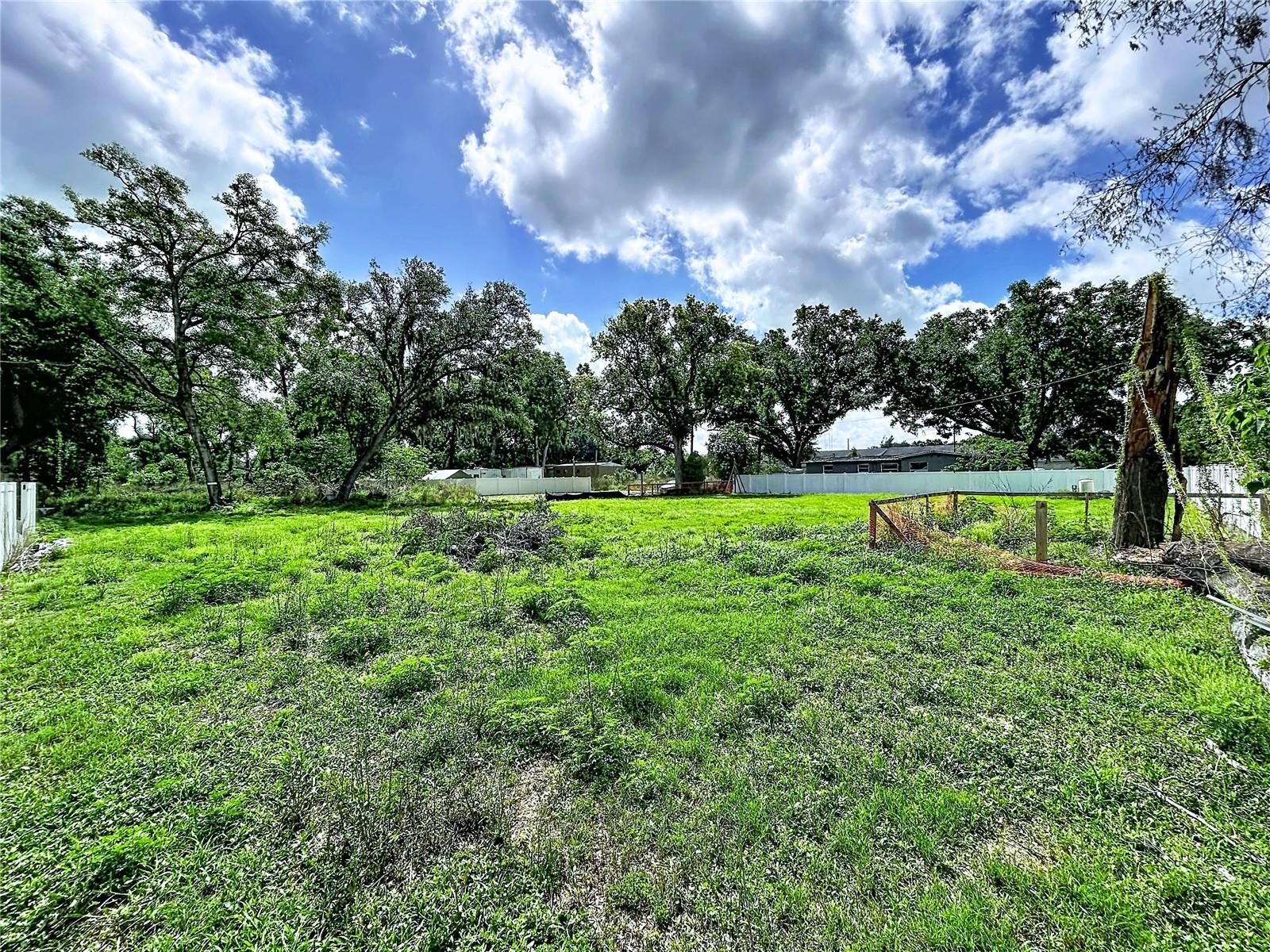 Robson Property Photo 4