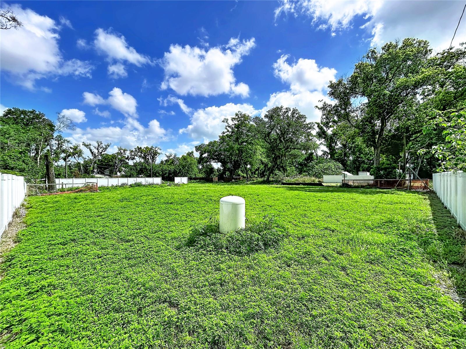 Robson Property Photo 6