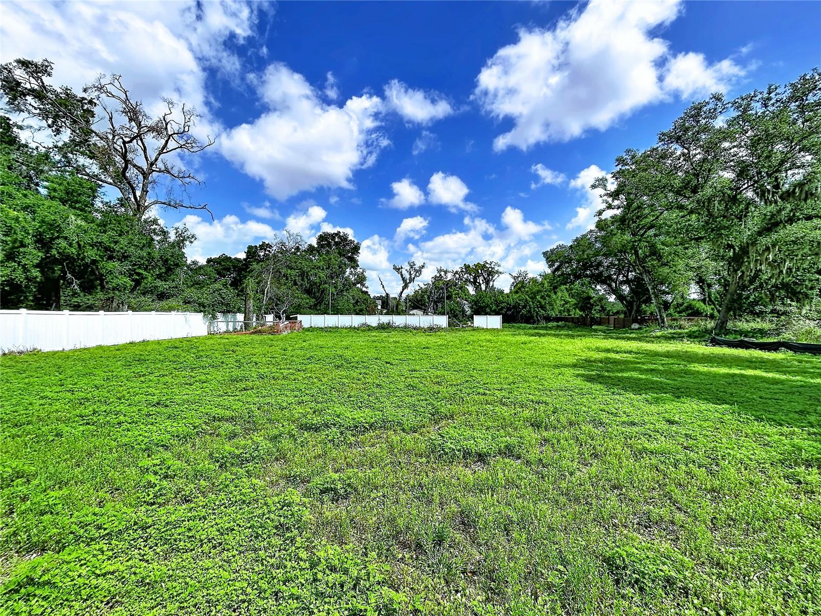 Robson Property Photo 7