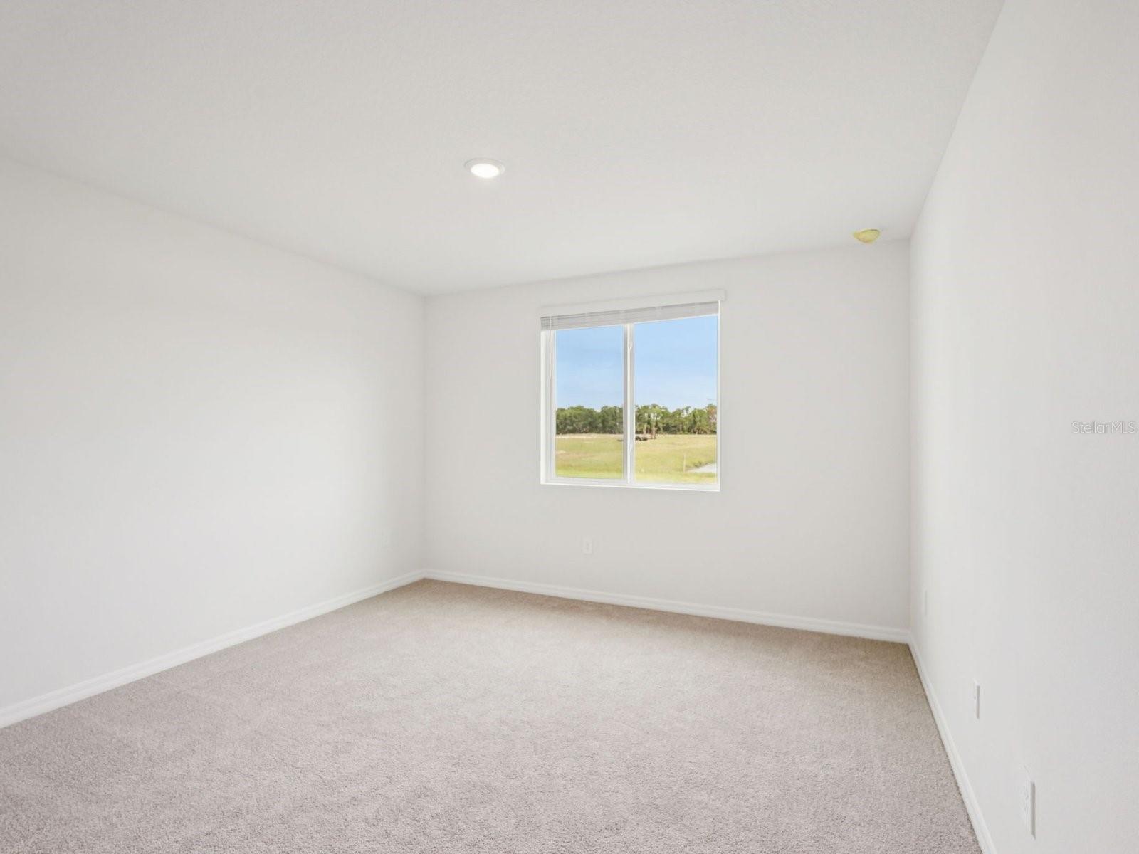 10437 Abundance Grove Way Property Photo 13