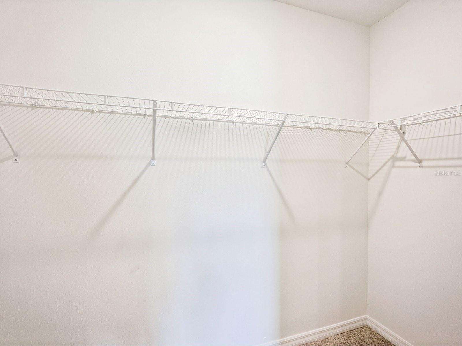 10437 Abundance Grove Way Property Photo 14