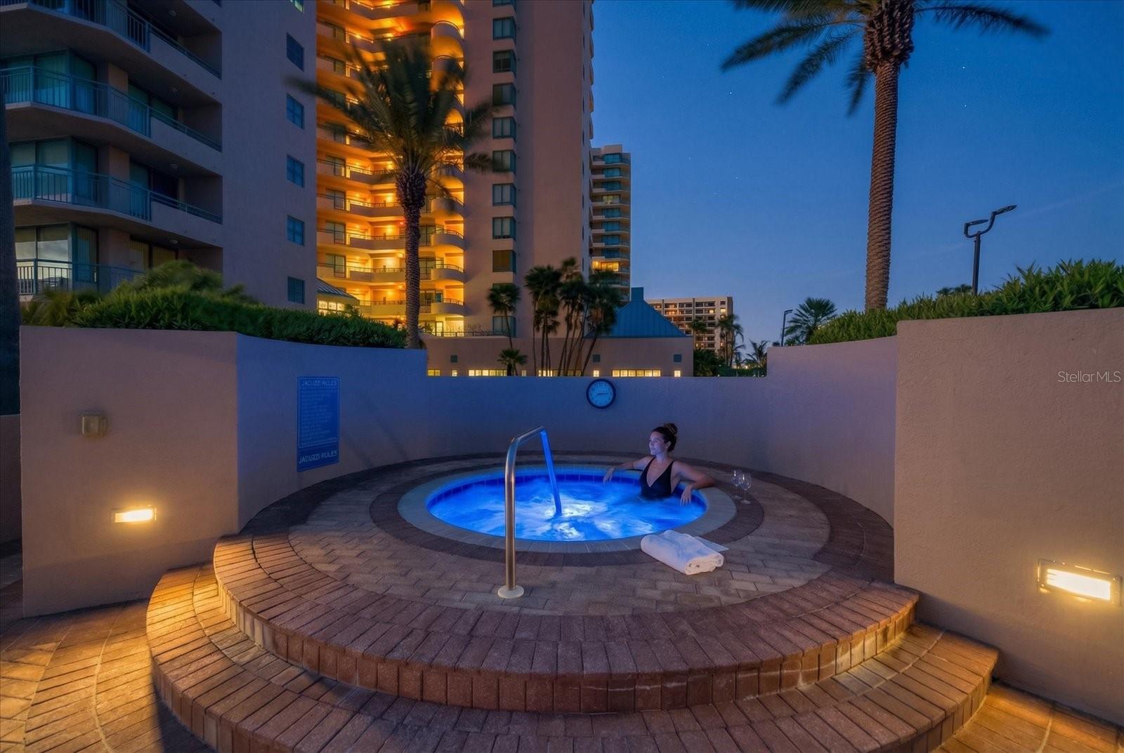 1560 Gulf Blvd #304 Property Photo 33