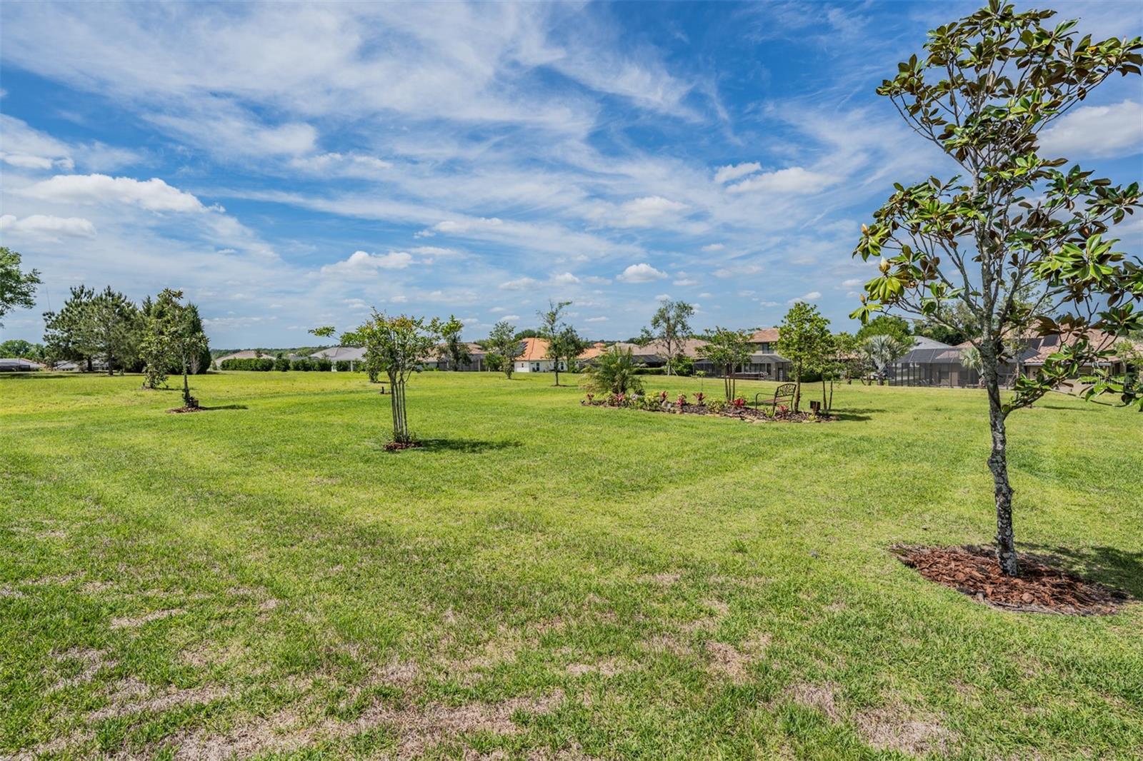 13915 Carryback Dr Property Photo 54