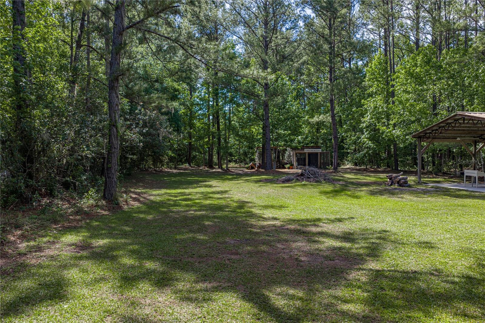 9091 Mcintyre Rd Property Photo 56