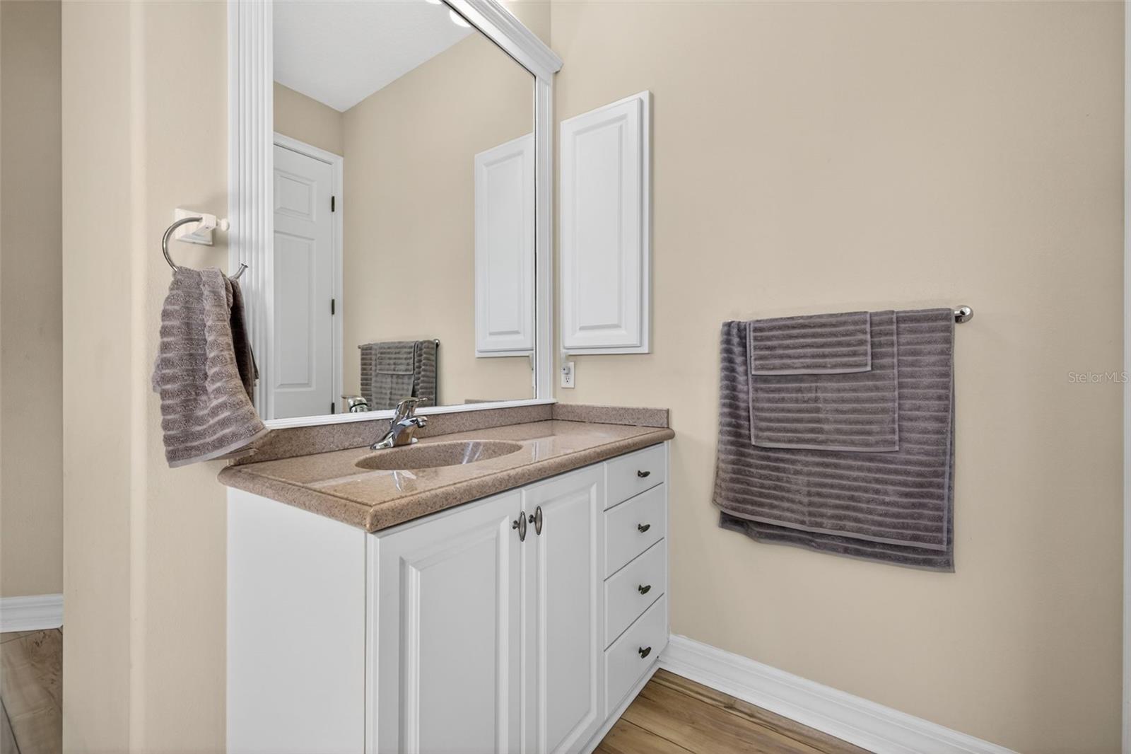 17308 Howling Wolf Run Property Photo 28