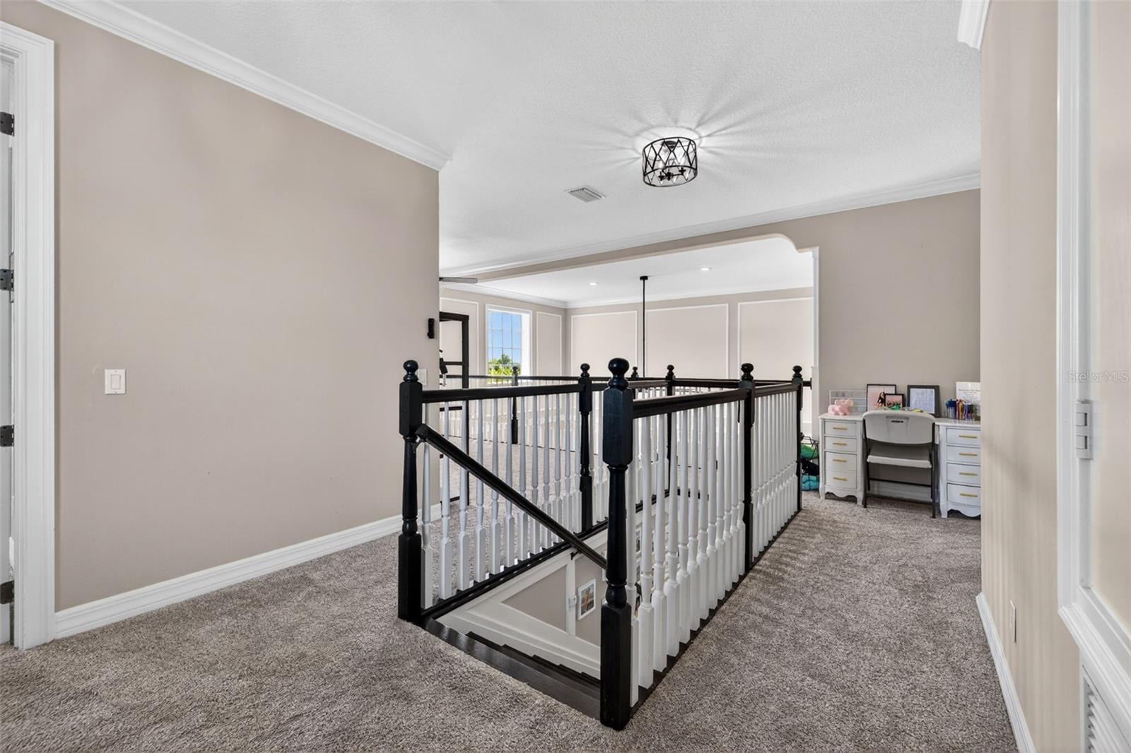 17308 Howling Wolf Run Property Photo 32