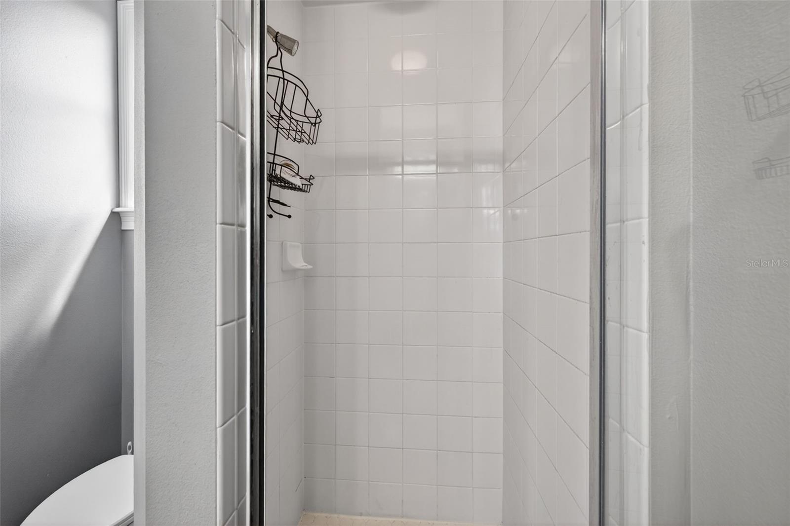 17308 Howling Wolf Run Property Photo 42