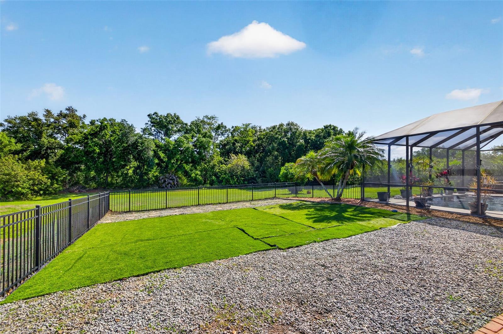 17308 Howling Wolf Run Property Photo 49