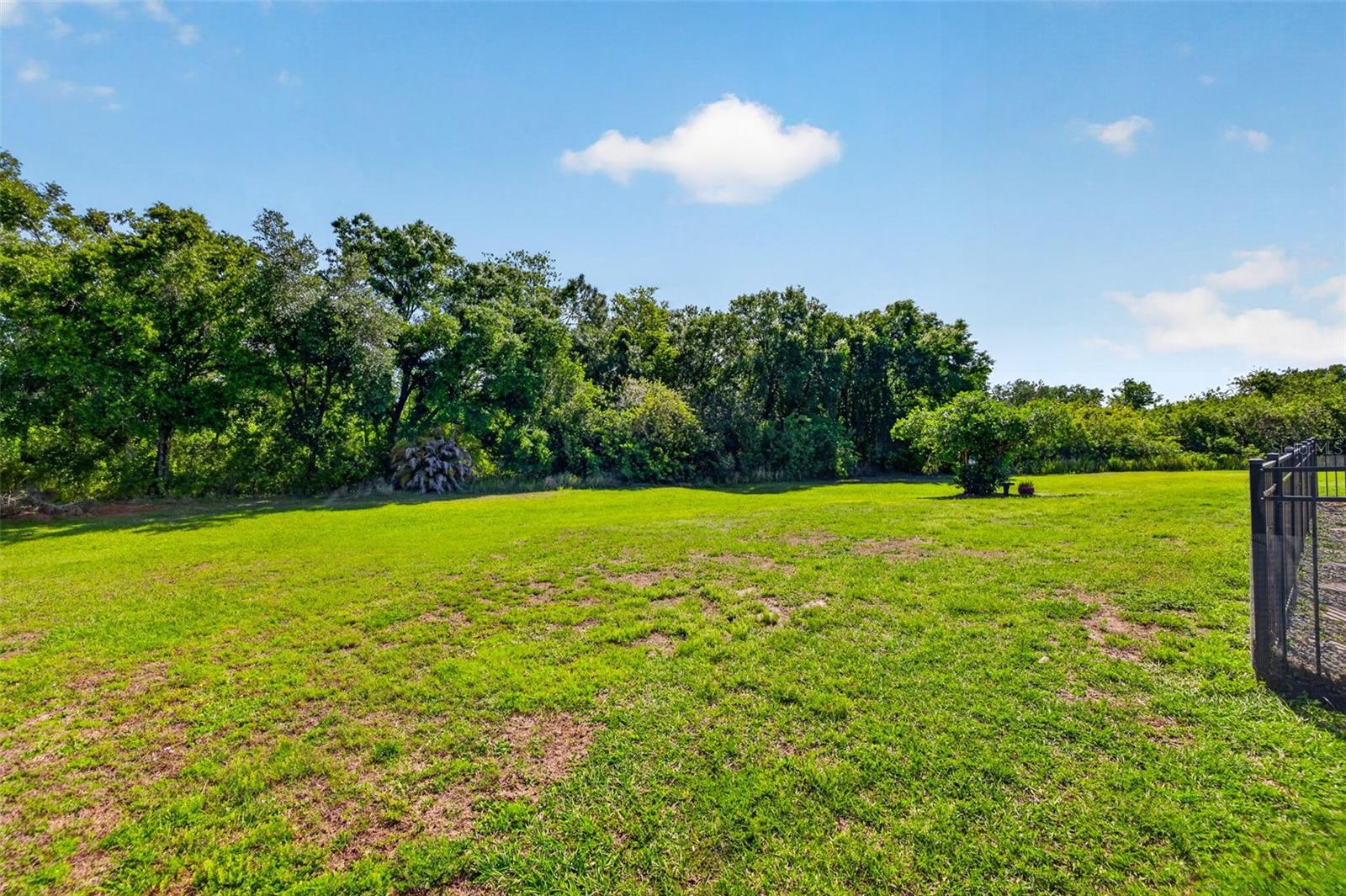 17308 Howling Wolf Run Property Photo 51