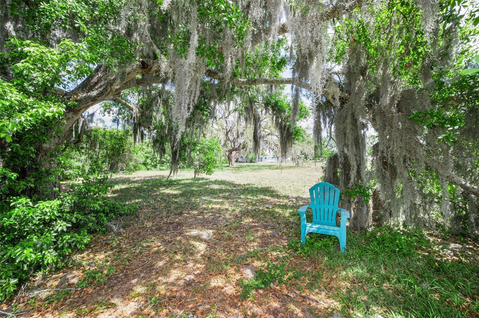 Flotilla Property Photo 2