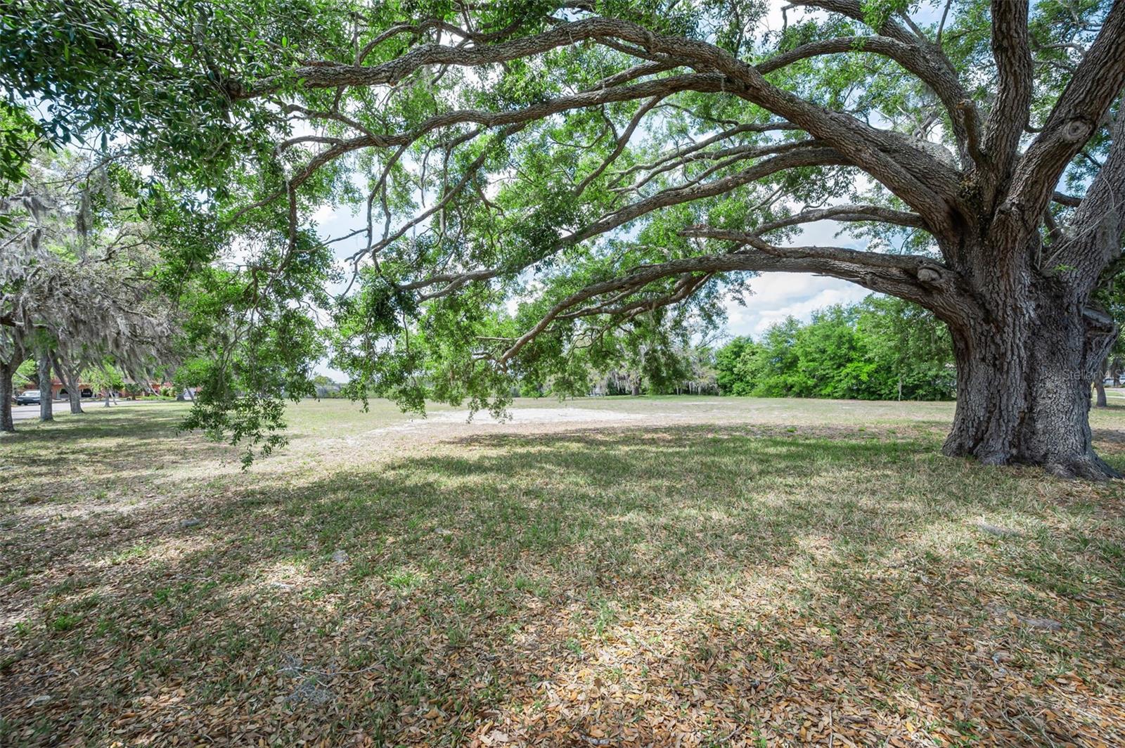 Flotilla Property Photo 7