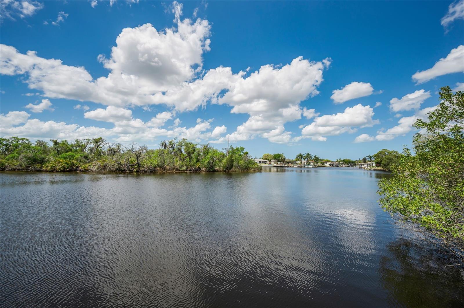 Flotilla Property Photo 14