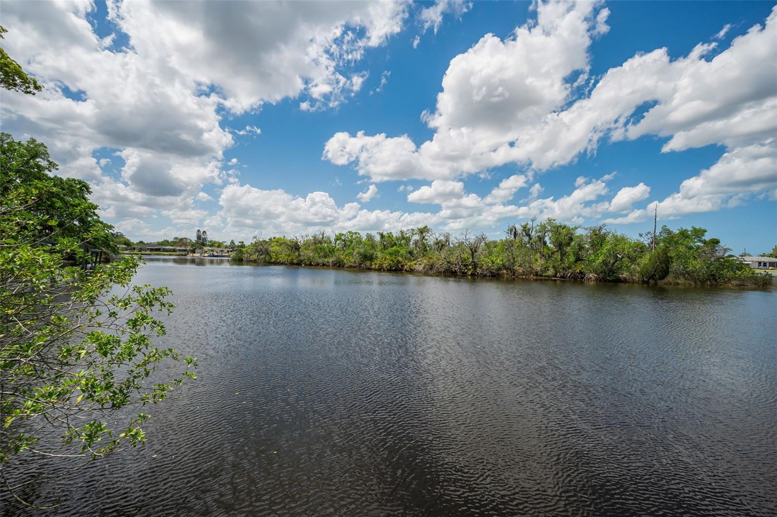 Flotilla Property Photo 15