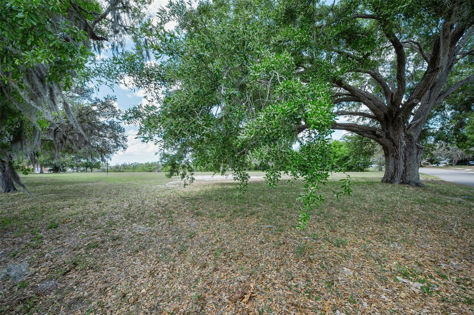 Flotilla Property Photo 31