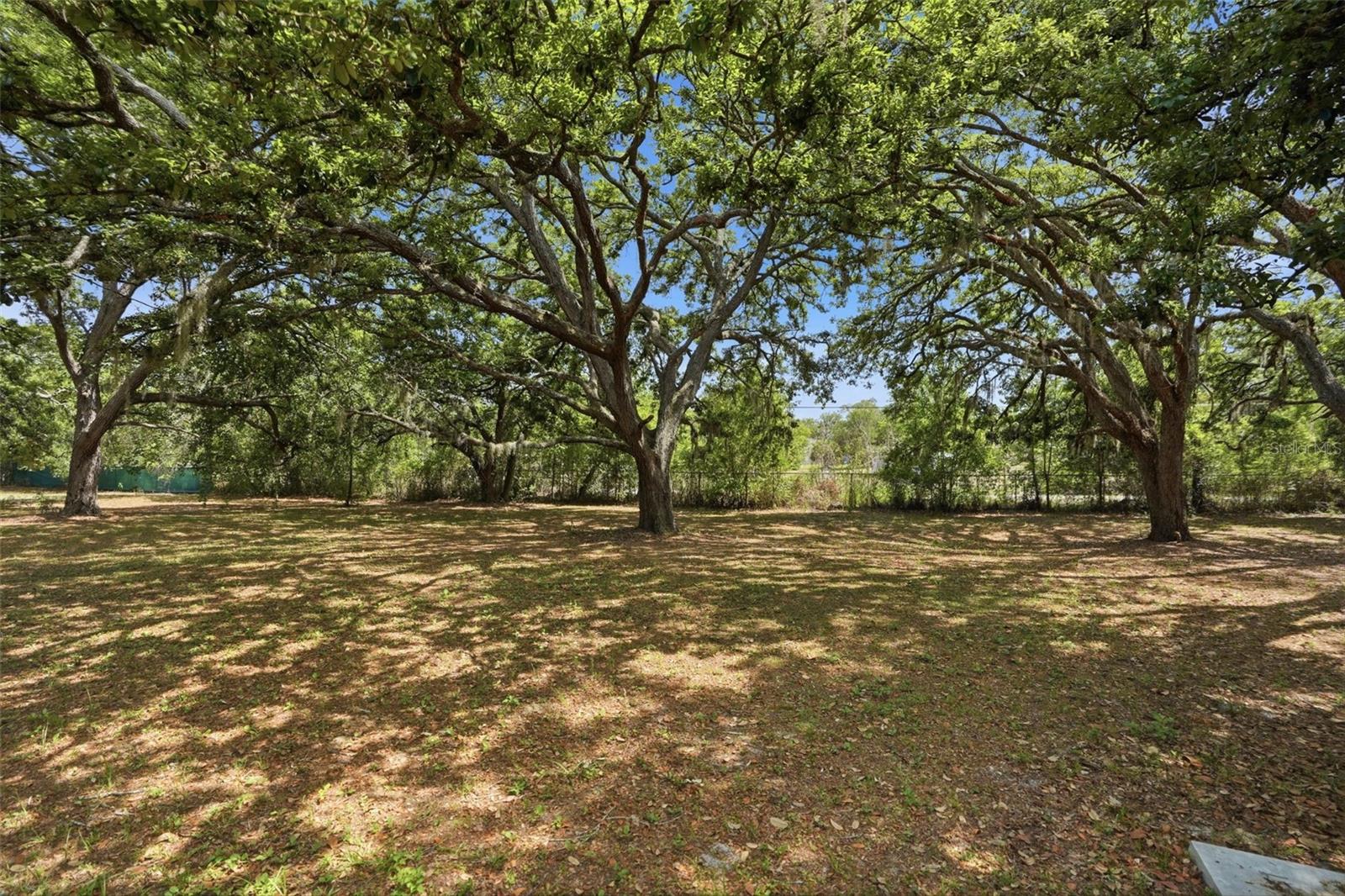 15620 Hays Rd Property Photo 77