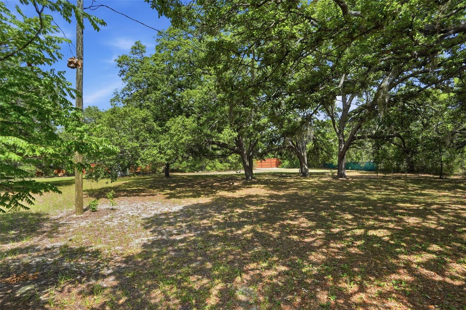 15620 Hays Rd Property Photo 78