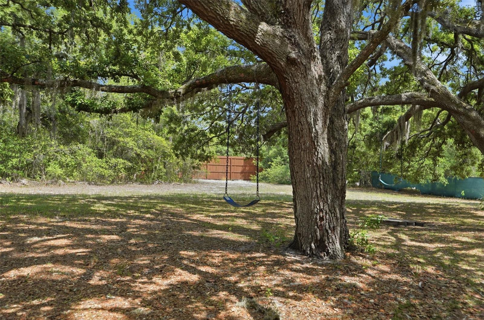 15620 Hays Rd Property Photo 79
