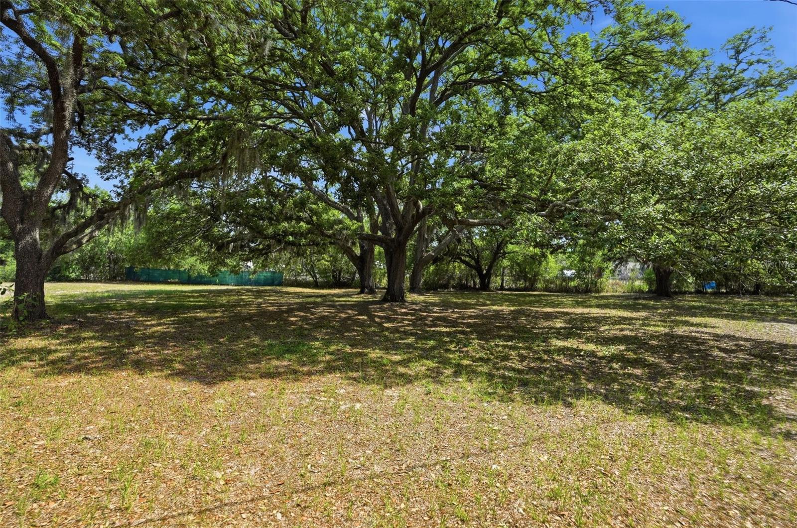 15620 Hays Rd Property Photo 81