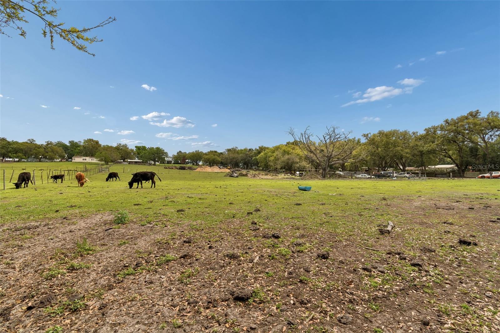 8302 Wire Rd Property Photo 17