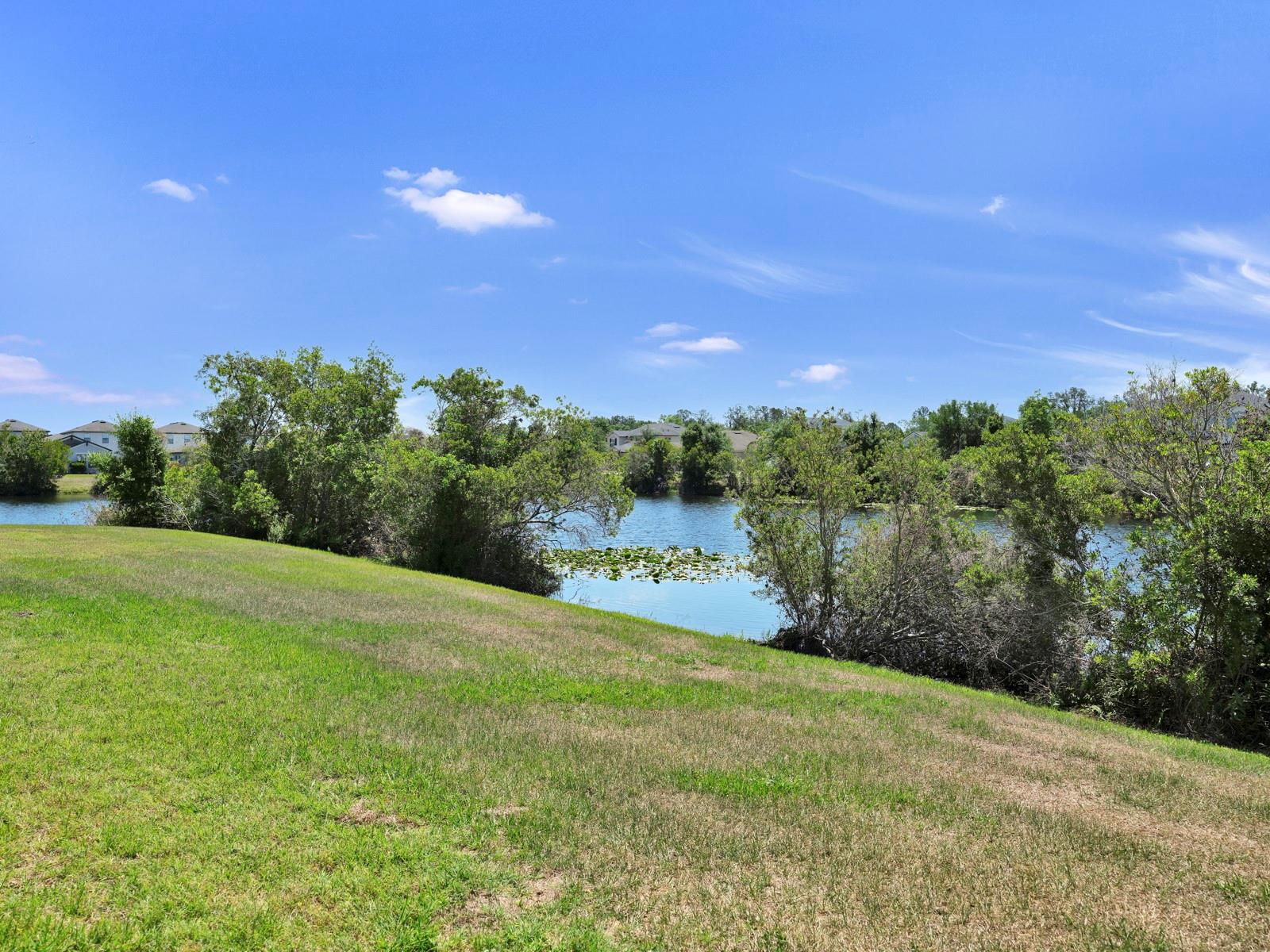 12317 Bay Estuary Bnd Property Photo 60