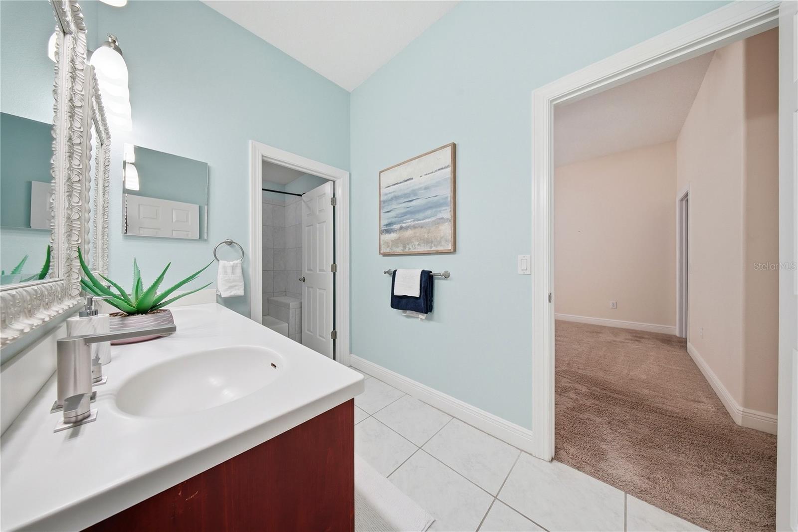 510 Mirabay Blvd Property Photo 43
