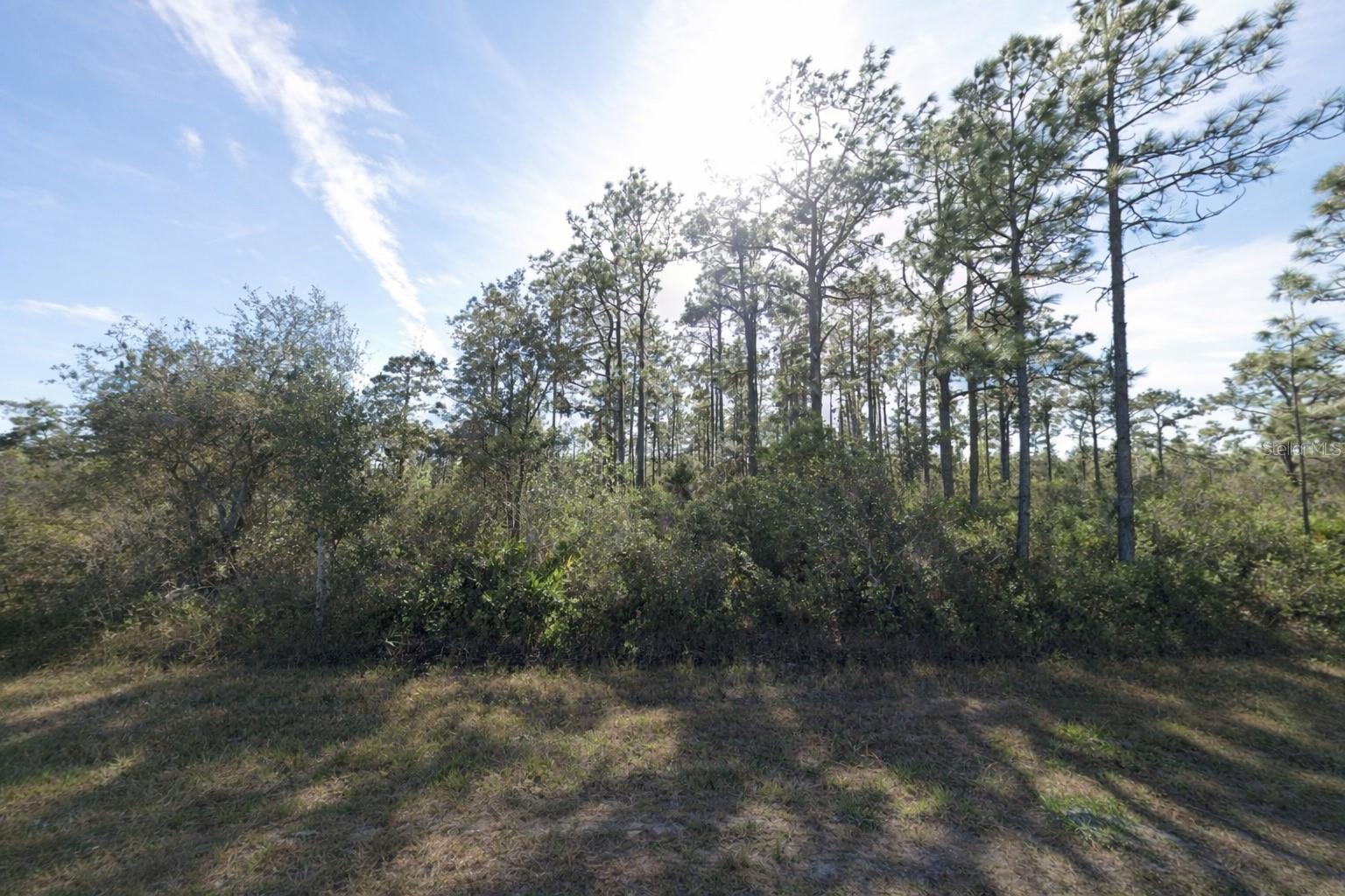 GAILLARDIA DR Property Photo 1