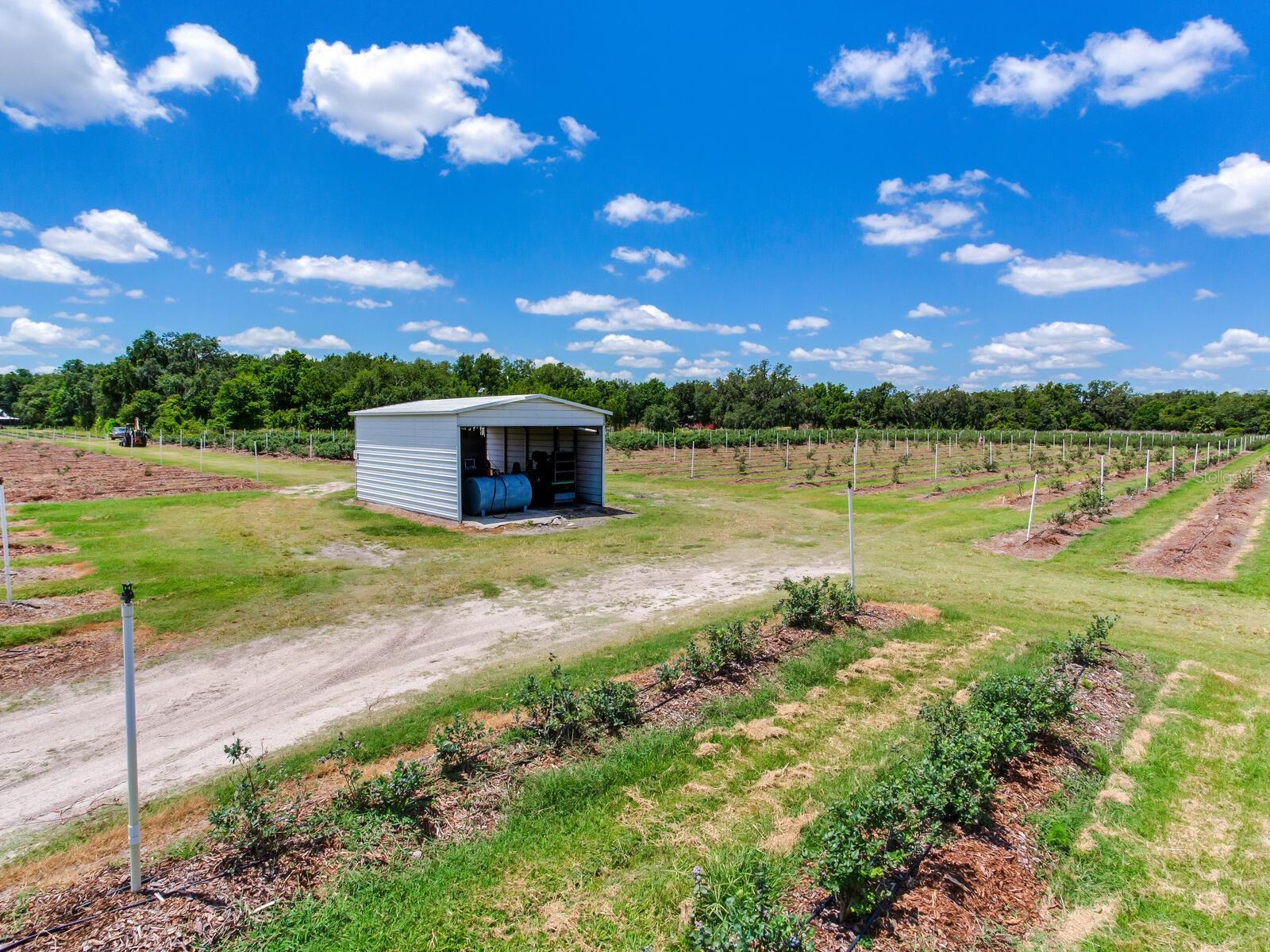 3674 E State Road 64 Property Photo 69