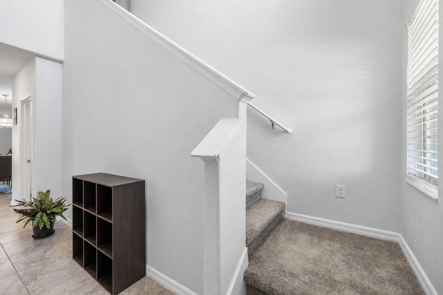 3703 Globe Thistle Dr Property Photo 6