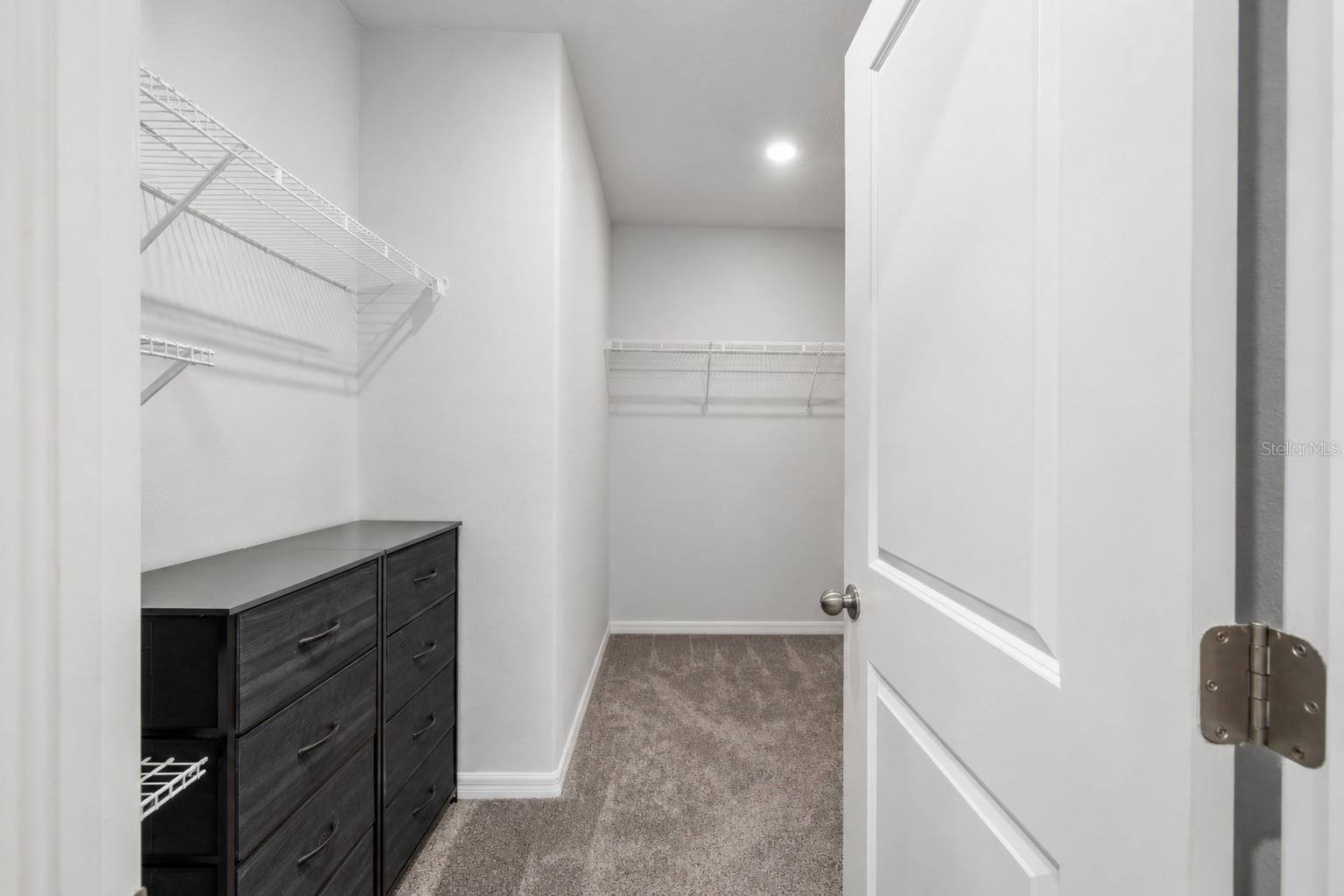 3703 Globe Thistle Dr Property Photo 14
