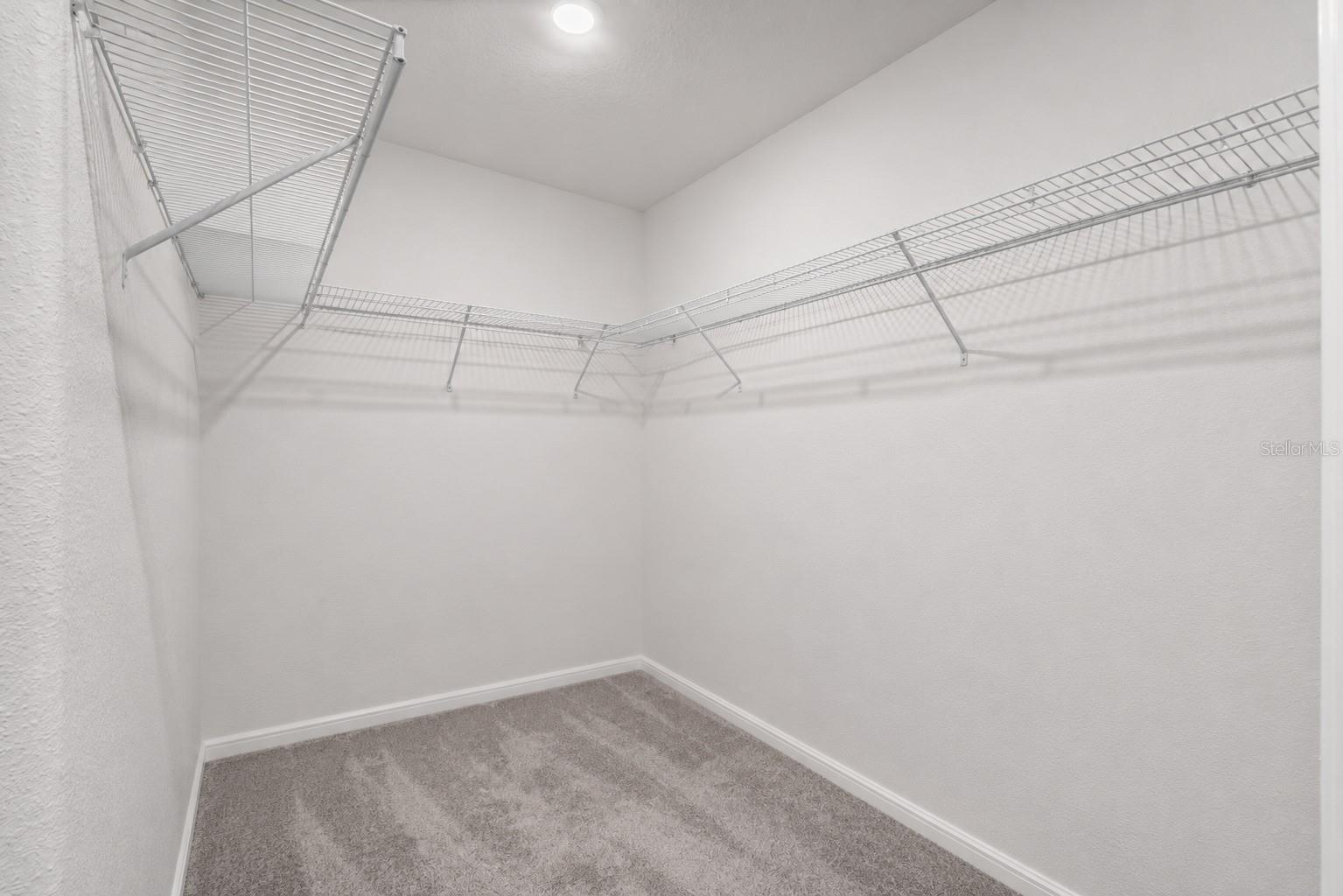 3703 Globe Thistle Dr Property Photo 15