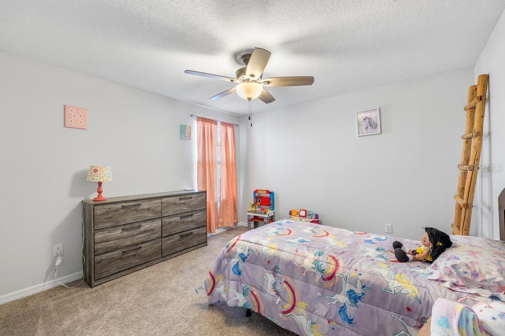 3703 Globe Thistle Dr Property Photo 19