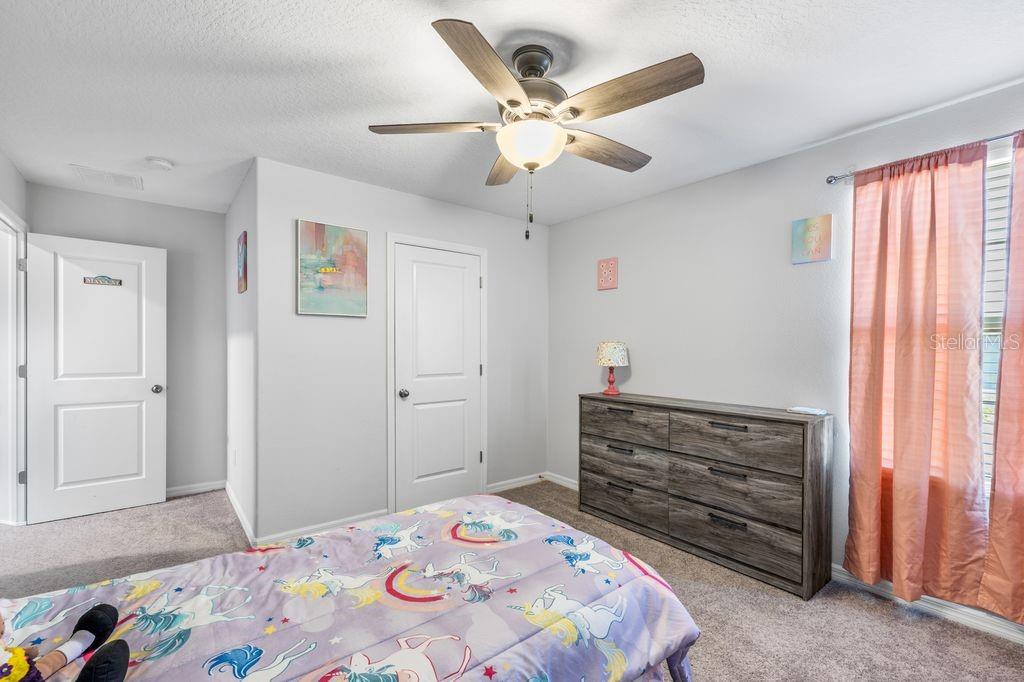 3703 Globe Thistle Dr Property Photo 20