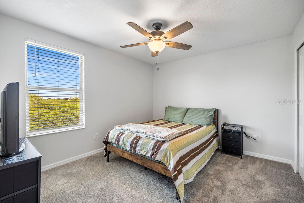 3703 Globe Thistle Dr Property Photo 21